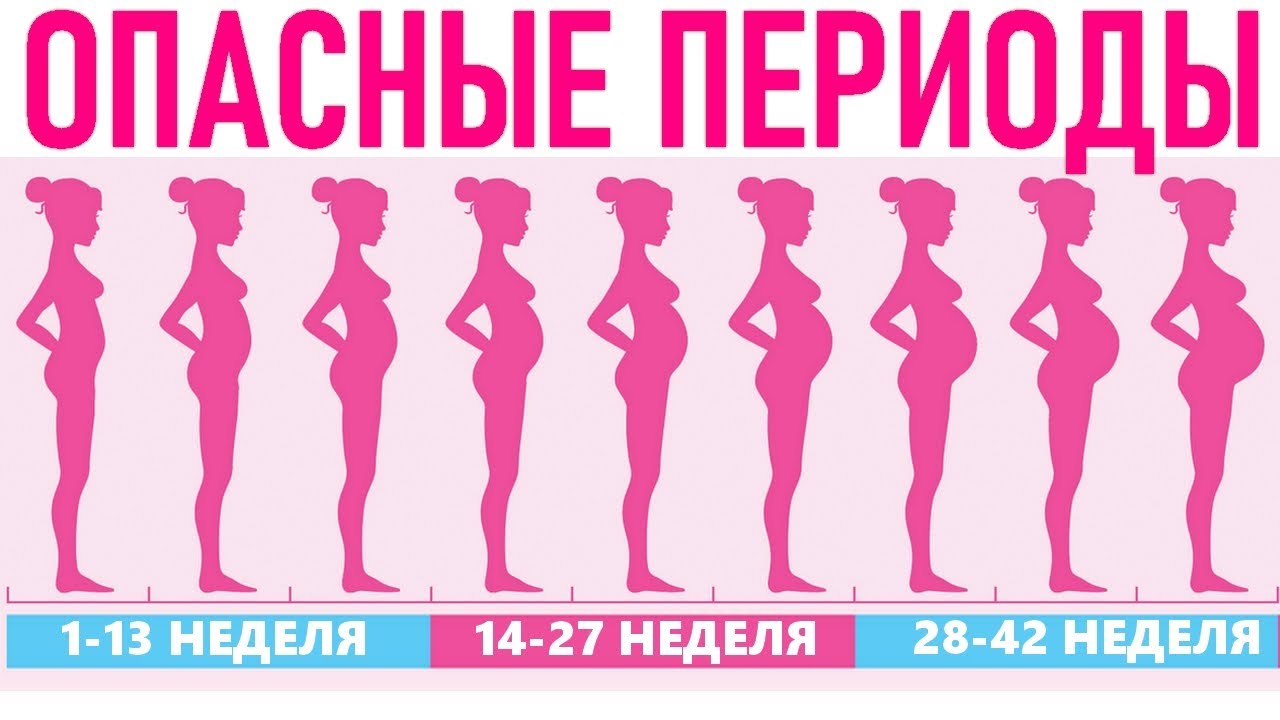 Опасные недели беременности во всех триместрах